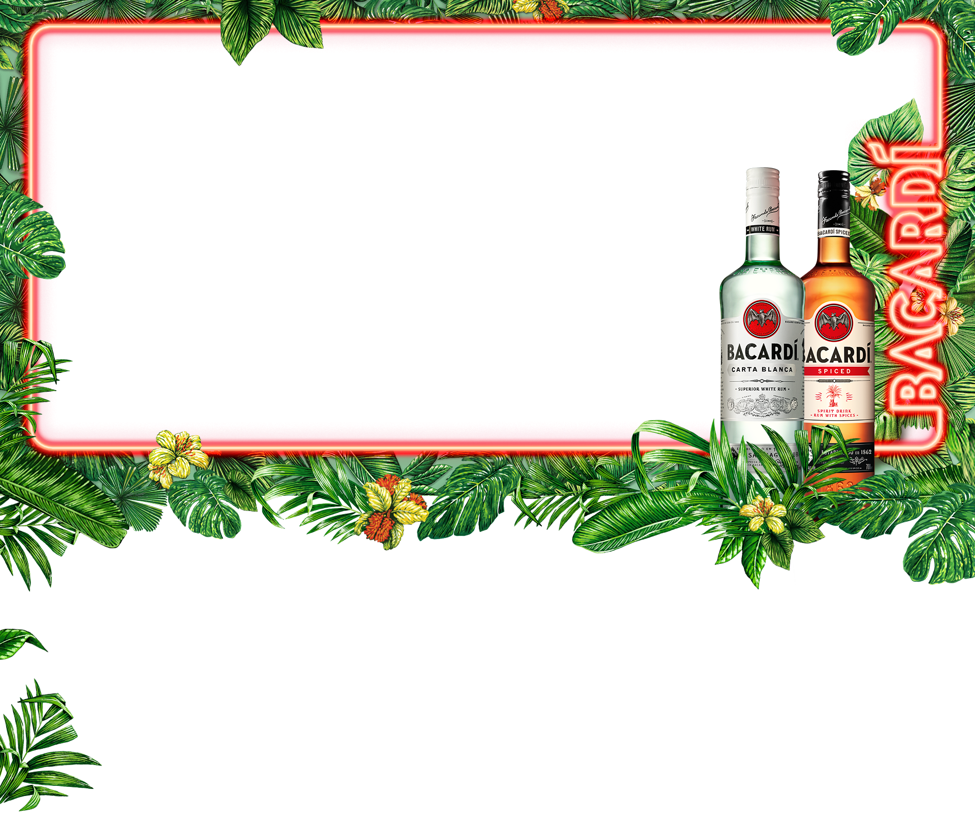 Bacardi Casa Musica Hero Image