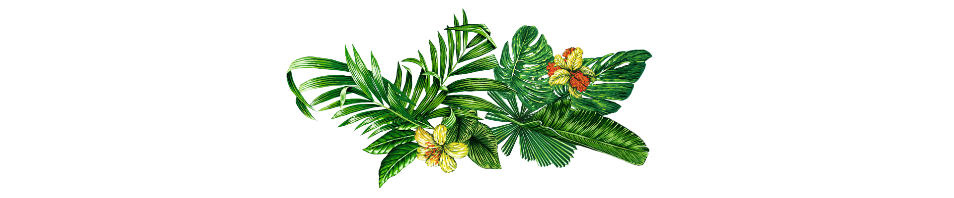Floral divider background